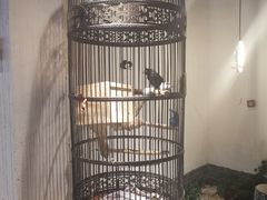 -清真·京华源铜锅涮肉(丰庆店)