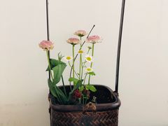 -梅间堂茶馆(绿地缤纷城店)