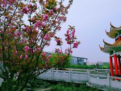 -西南政法大学(渝北校区)