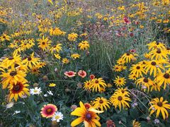 -无锡新湖铂尔曼大酒店