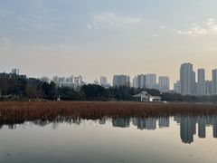 -月湖风景区