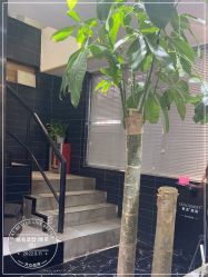 -Nice奈斯形象定制沙龙