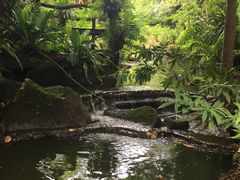 -绿光森林餐厅