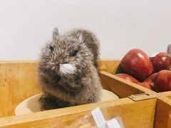 -La Porte de Paris 巴黎之门法式甜品