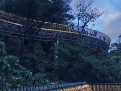 -福道