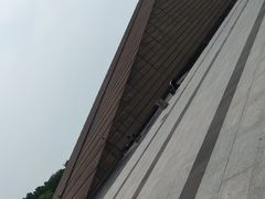 -合肥滨湖国家森林公园