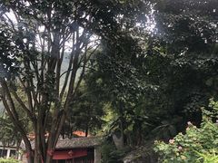 -苍山世界地质公园·石门关大峡谷
