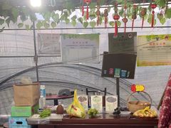 -马陆小张葡萄园农家乐