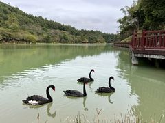 -广州白江湖森林公园