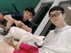 -飞行喵MR PILOT|猫舍·猫咖(静安大融城店)