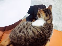 -MQ COFFEE STAND明谦(新洲店)