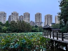 -龙头寺公园