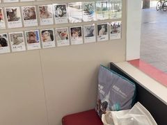 -御宝贝24h宠物医院·转诊中心·CT核磁血透中心(厦门总院)