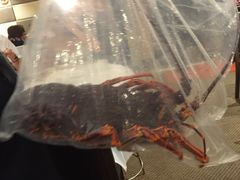-金唐海鲜酒家
