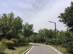 -佛慧山