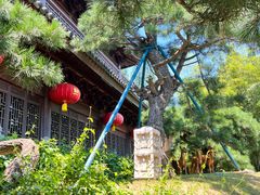 -龙华寺