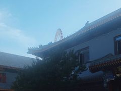 -天津大悲禅院
