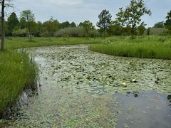 -宁波杭州湾国家湿地公园