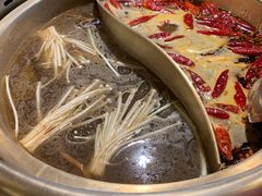 -小龙坎老火锅(北京三里屯店)