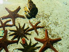 -福州罗源湾海洋世界旅游区