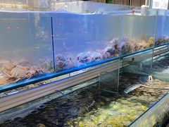 -四海蒸鲜蒸汽海鲜自助(北戴河店)