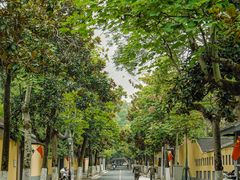 -颐和路民国时期公馆风貌区