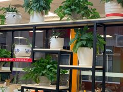 -康庄美食城(德阳中江县)