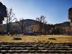 -千年银杏谷文化旅游区