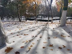 -大兴滨河森林公园