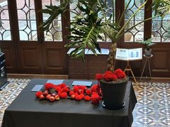 -一尺花园(安和花园店)