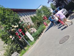 -中国中医科学院西苑医院(本部)