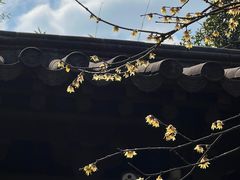 -钱王祠