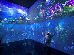 -中国湿地博物馆