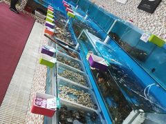 -港畔赶海蒸汽海鲜烧烤自助(仙螺岛店)