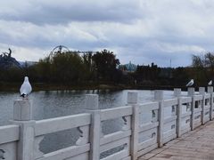 -七彩云南欢乐世界