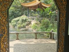 -广州兰圃