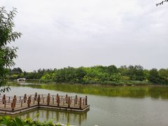 -塘沽森林公园