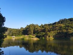 -南国桃园旅游度假区