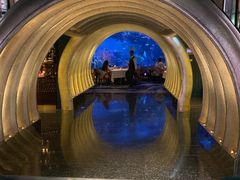 -迪拜帆船酒店海底餐厅