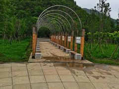 -贵阳市花溪国家城市湿地公园