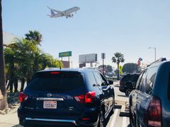 -In-N-Out Burger(LAX)
