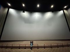 -天幕新彩云国际影城(激光巨幕店)