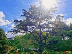 -上海虹桥迎宾馆