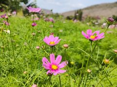 -三亚南山文化旅游区