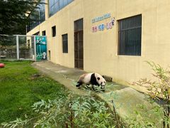 -西安秦岭野生动物园