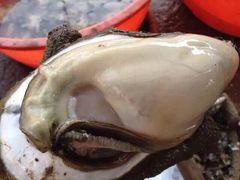 -浪琴湾尾角仔海鲜坊