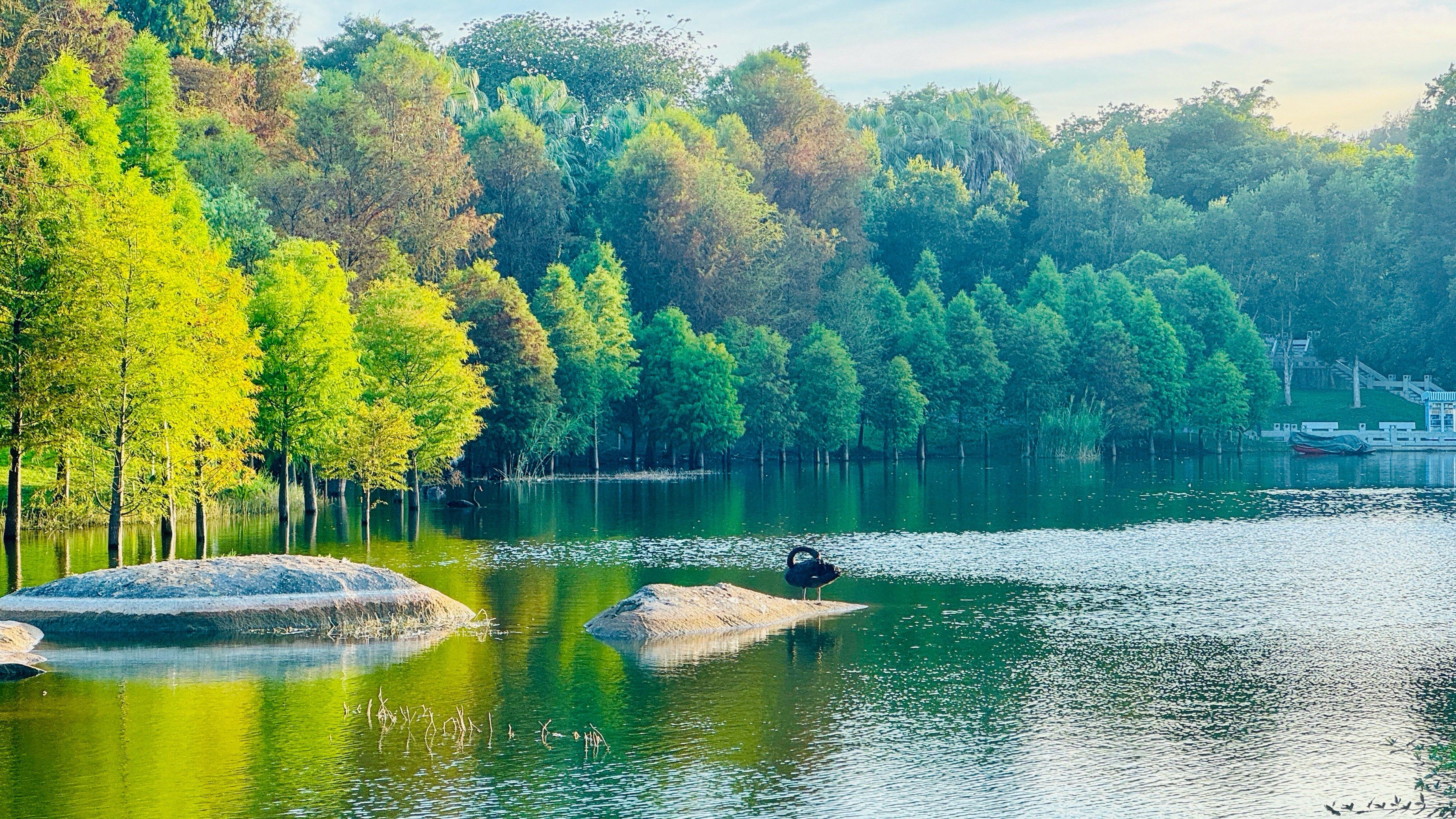 夏日午后植物园