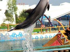 -秦皇岛乐岛海洋王国