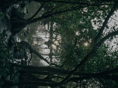 -宝安西湾红树林湿地公园