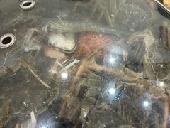 -仙螺岛海鲜自助餐厅(总店)